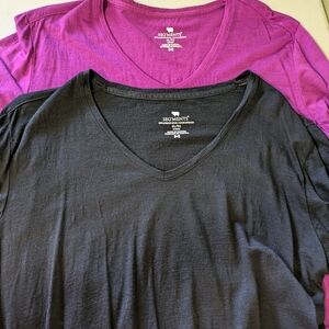 Segments 2 pack long sleeve Merino XL